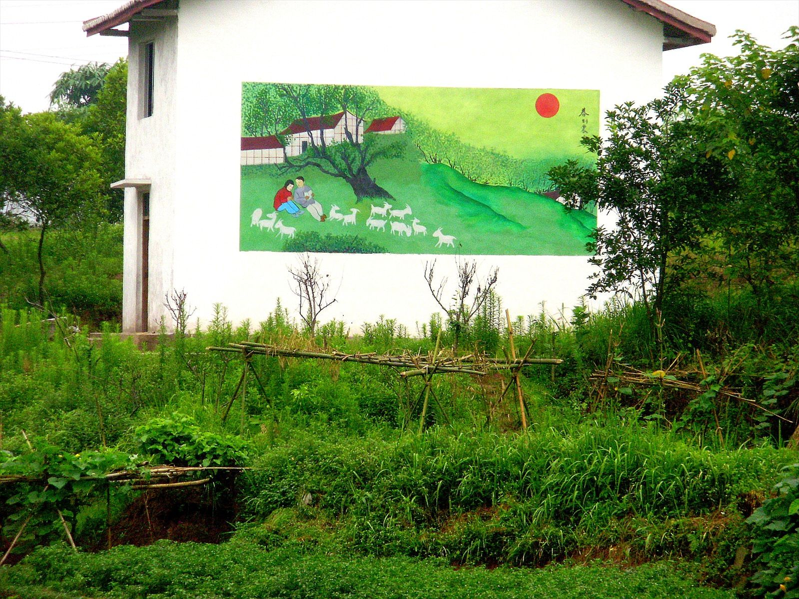 P6260241_.jpg