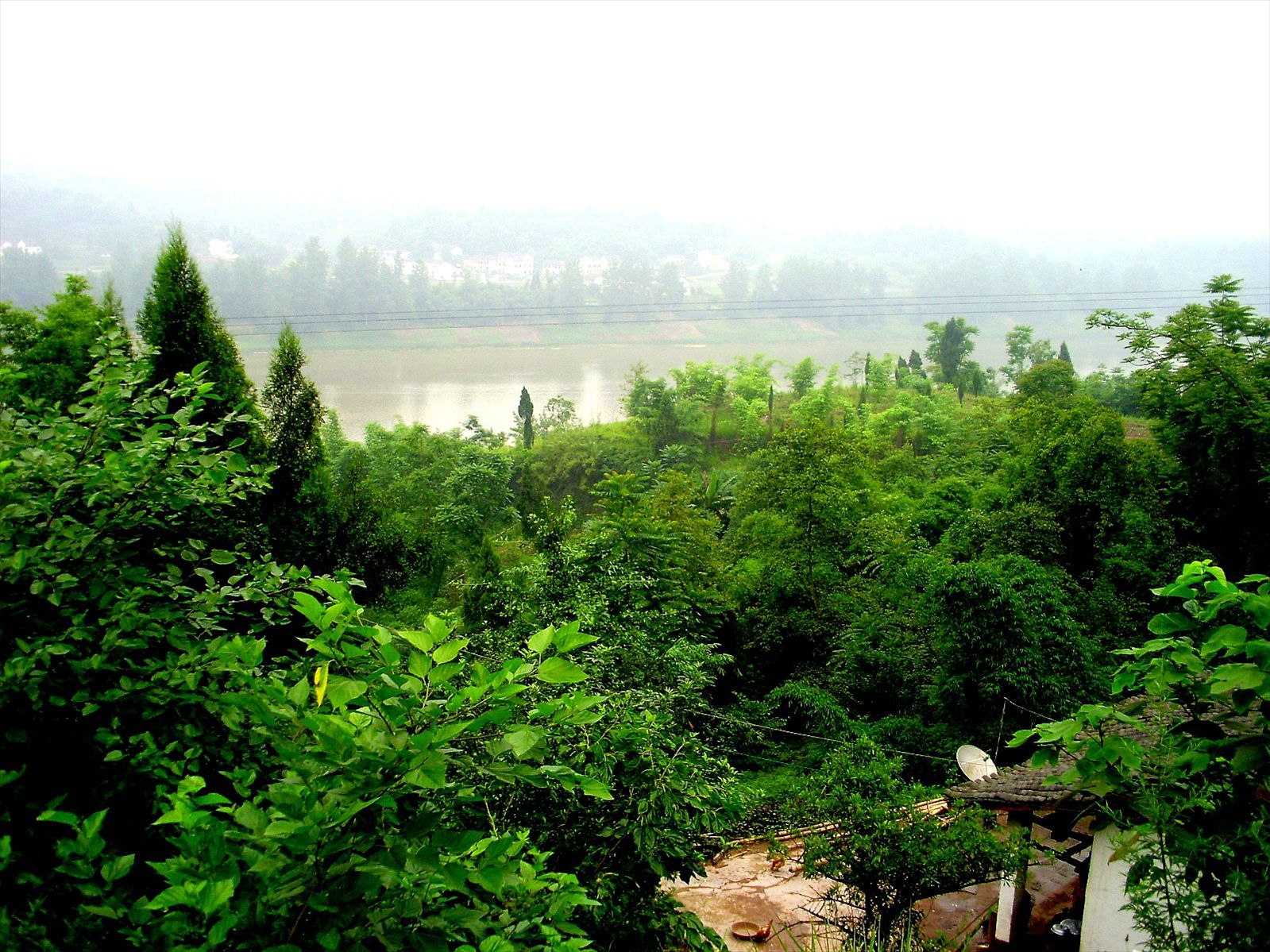 P6260243_.jpg