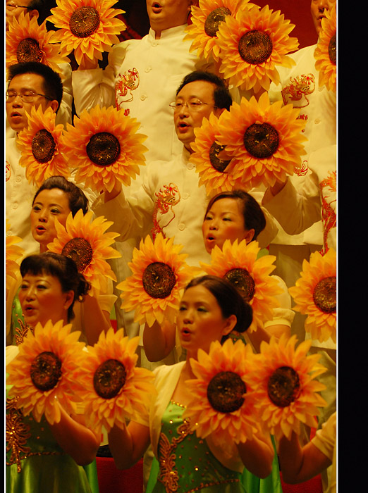 DSC_0154-2.jpg