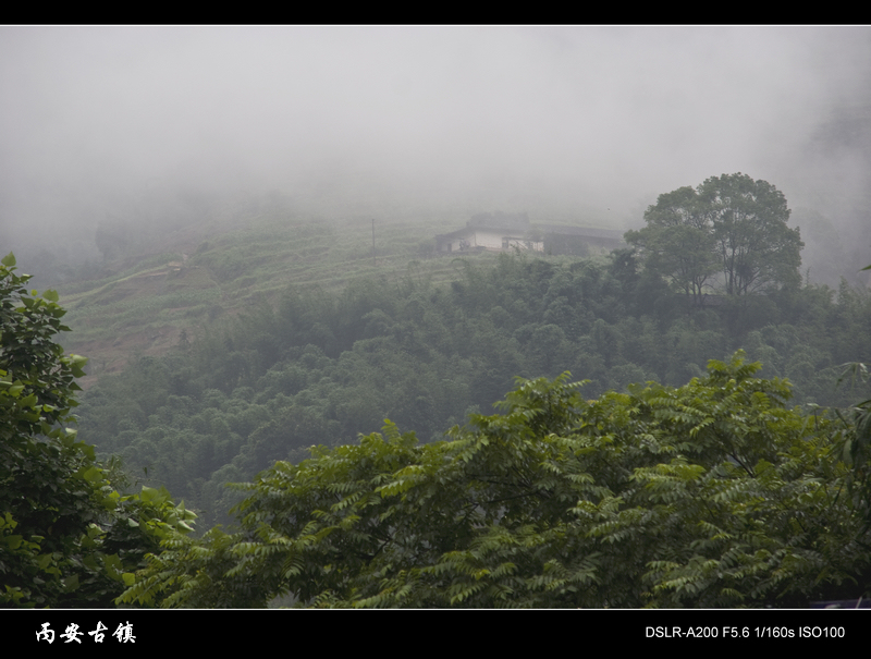 DSC04030.jpg