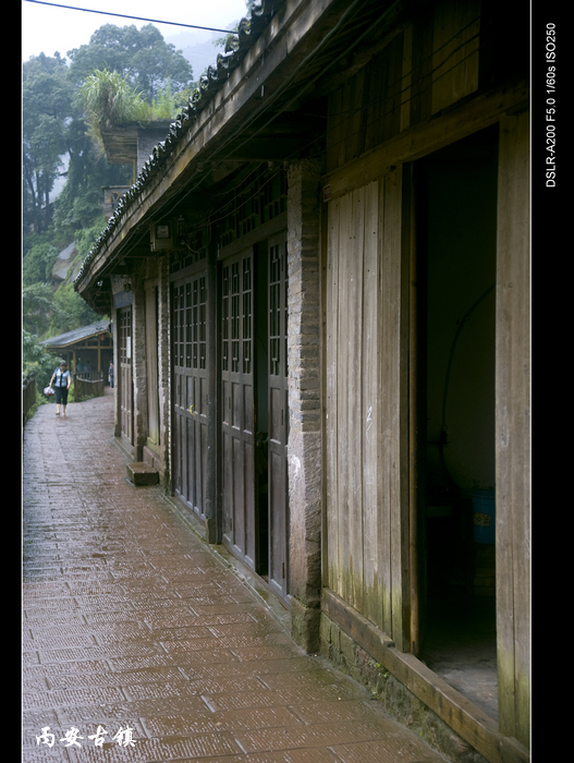 DSC04043.jpg