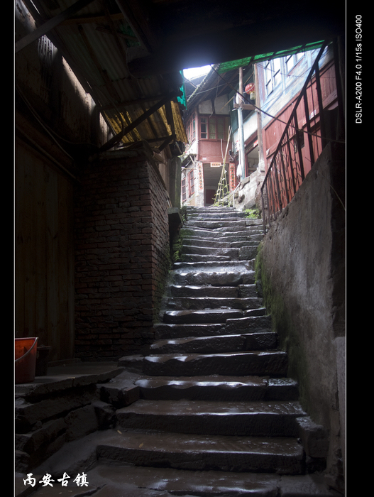 DSC04057.jpg