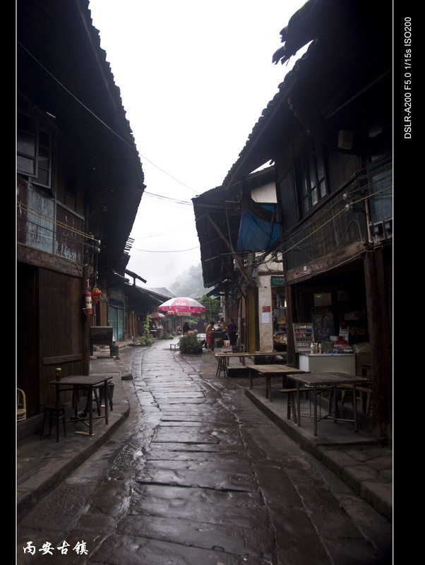DSC04195.jpg