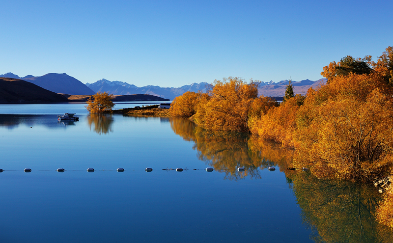 ~~~炫丽金秋新西兰《五》宁静的蒂卡波湖~~~