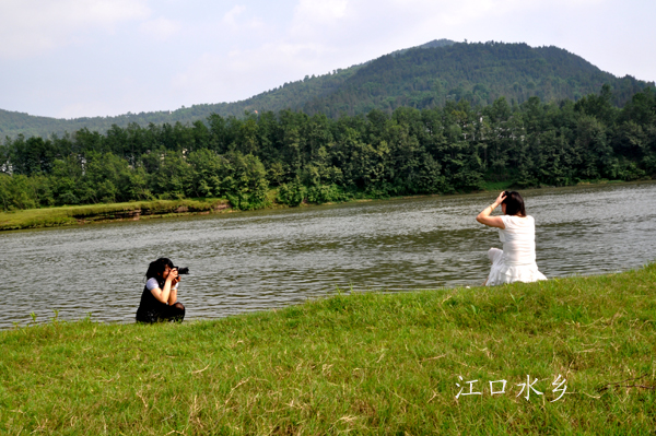 DSC_1026 .jpg