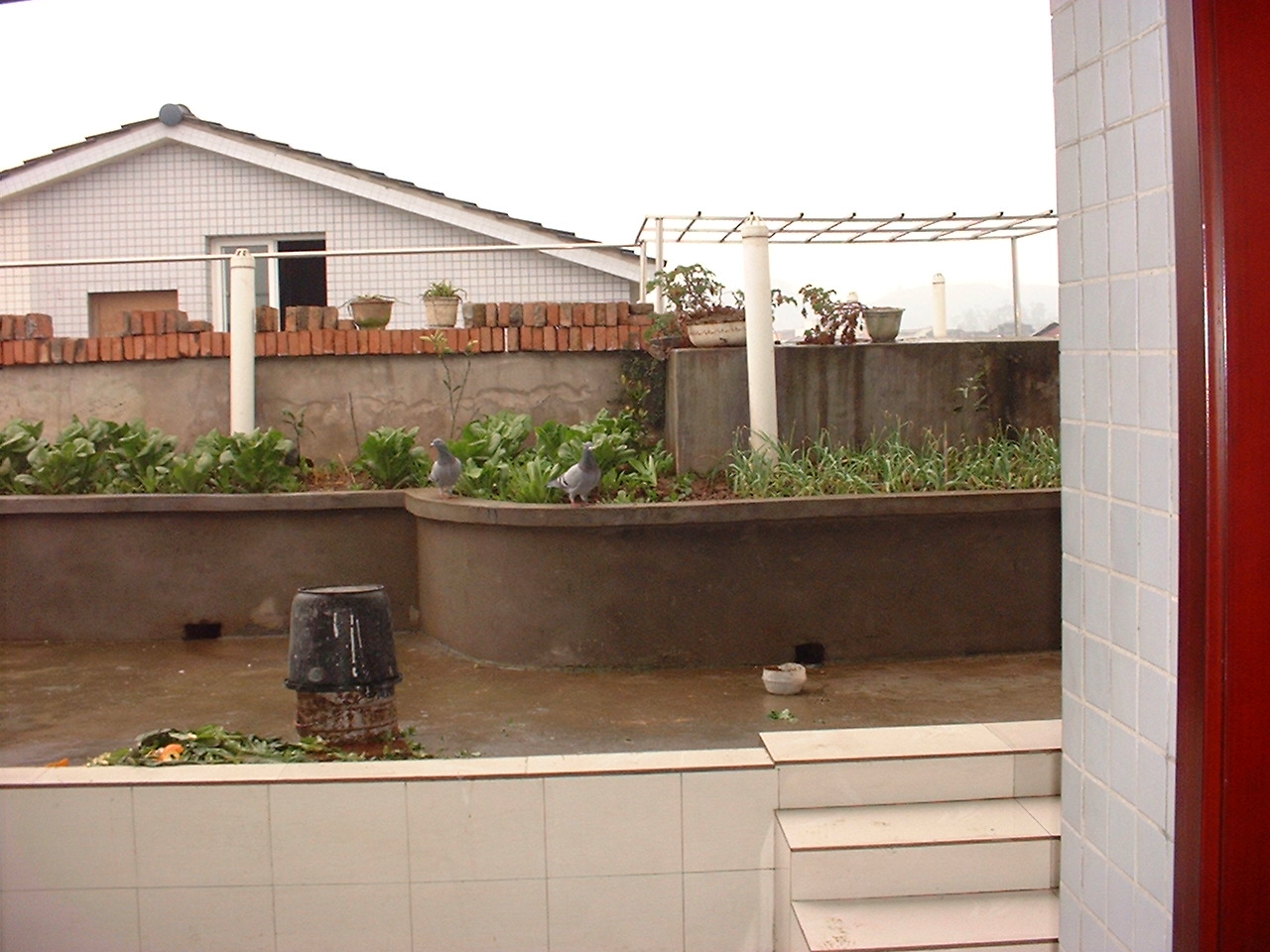 DSCF0146.JPG