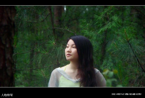 DSC00714.jpg