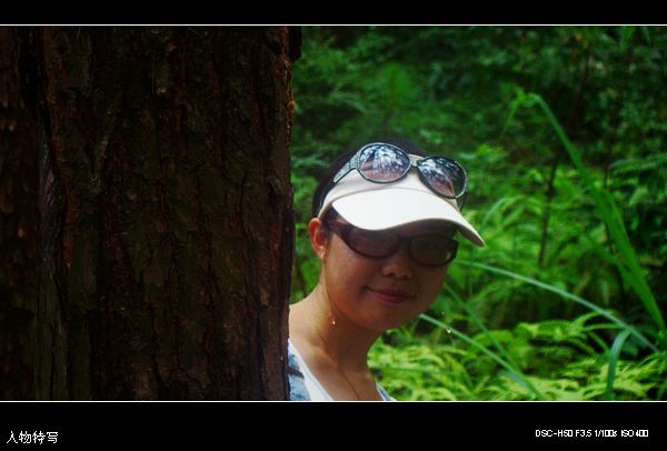 DSC00742.jpg