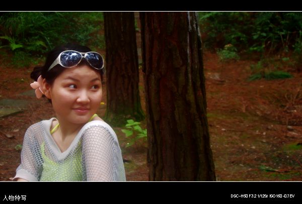 DSC00768.jpg