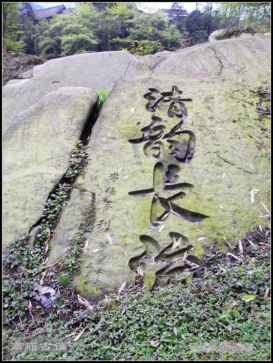 DSCN1514.jpg