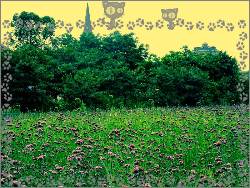 DSCF0656.jpg