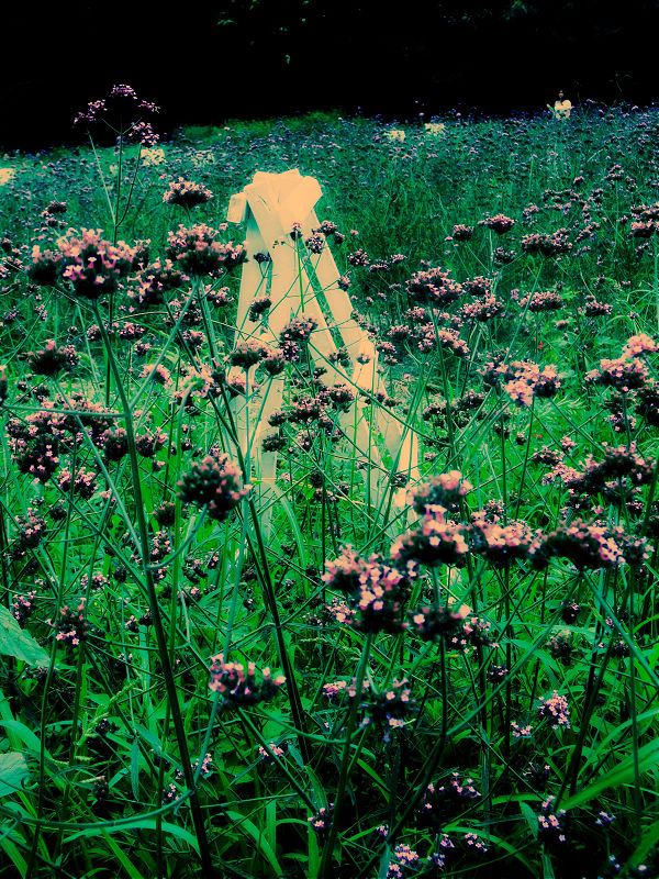 DSCF0668.jpg