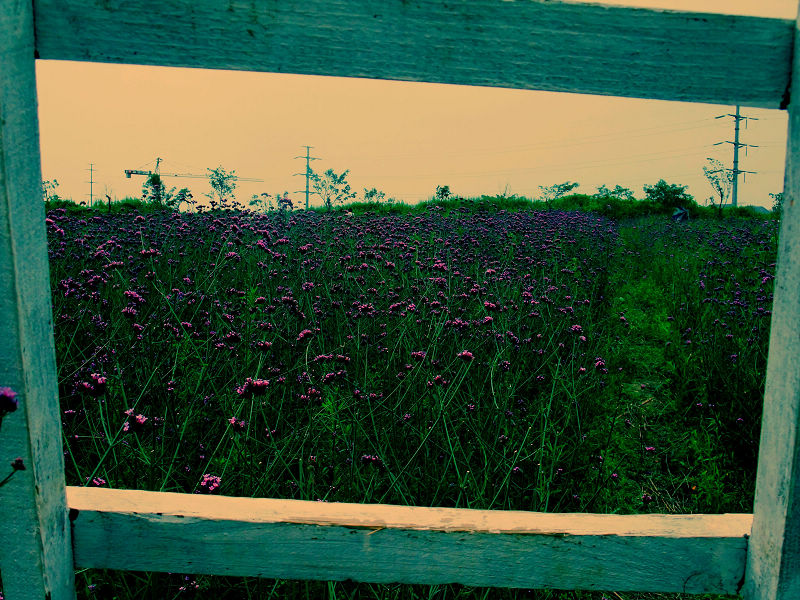 DSCF0715.jpg