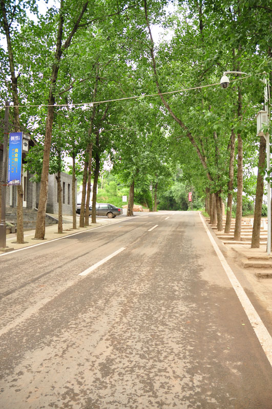 DSC_1308.jpg