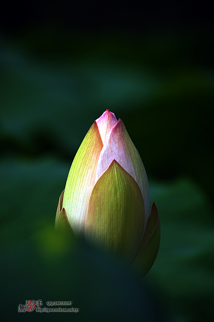 DSC_0159.jpg