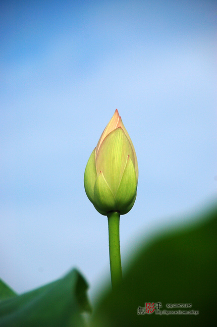 DSC_0168.jpg