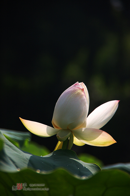 DSC_0200.jpg