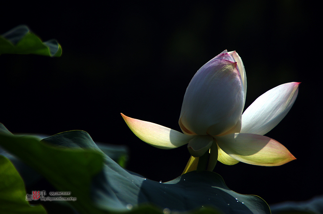 DSC_0206.jpg