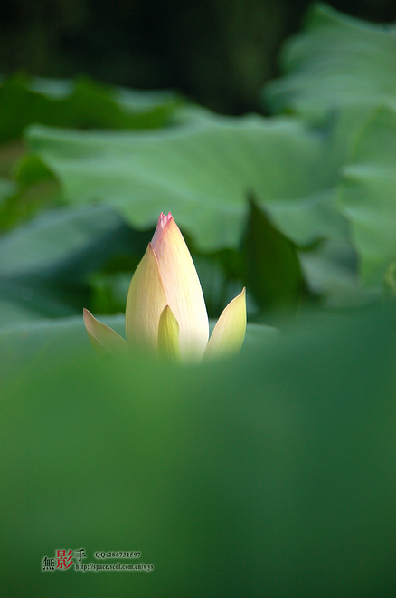 DSC_0217.jpg