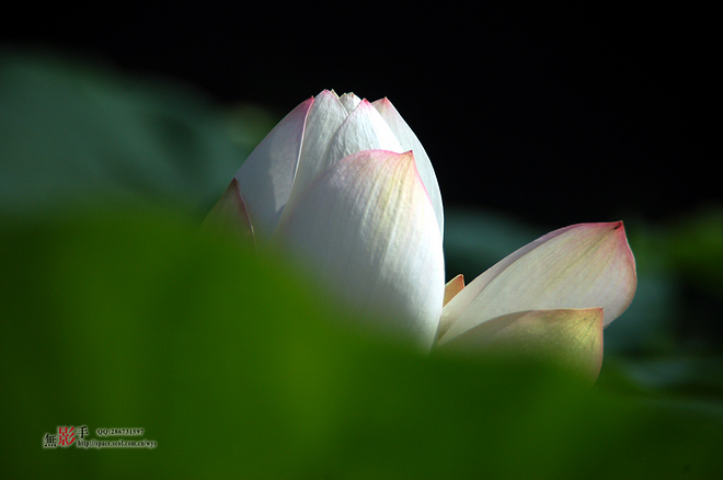 DSC_0229.jpg
