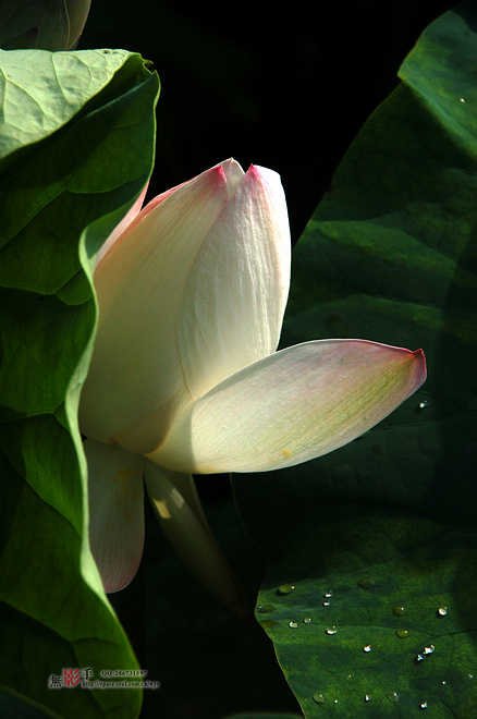DSC_0234.jpg