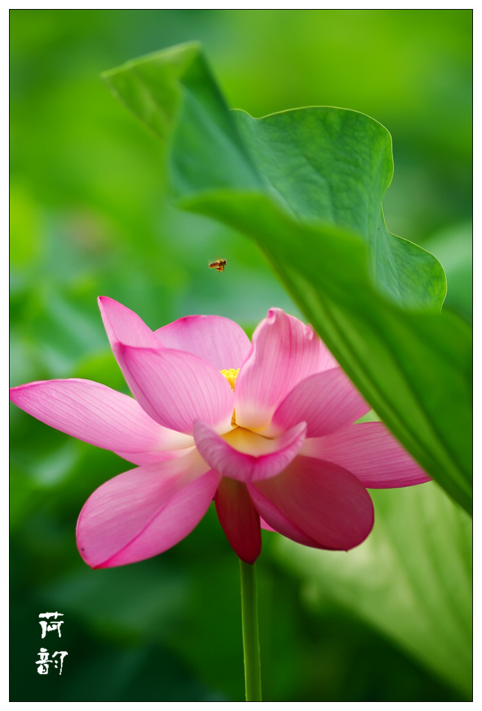 IMGP1562_Ӱ_1.jpg