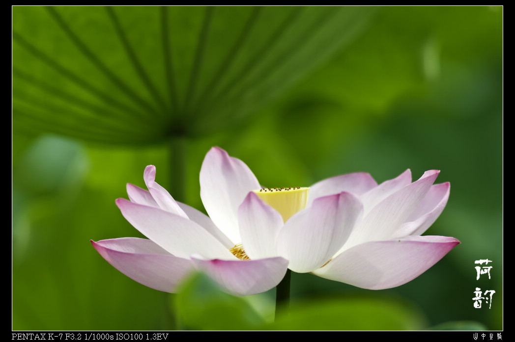 IMGP9168_Ӱ_1.jpg