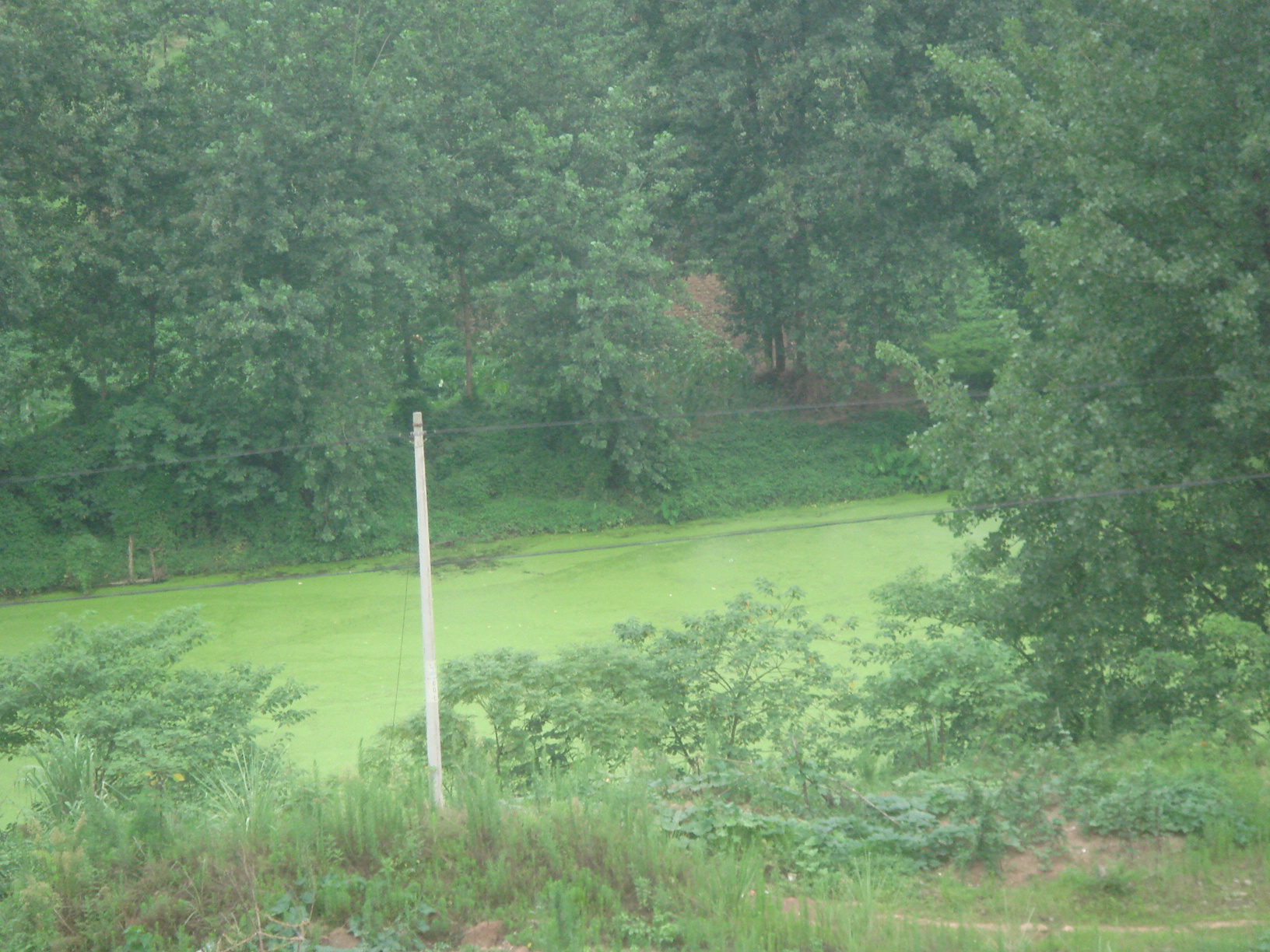 DSC06792.JPG