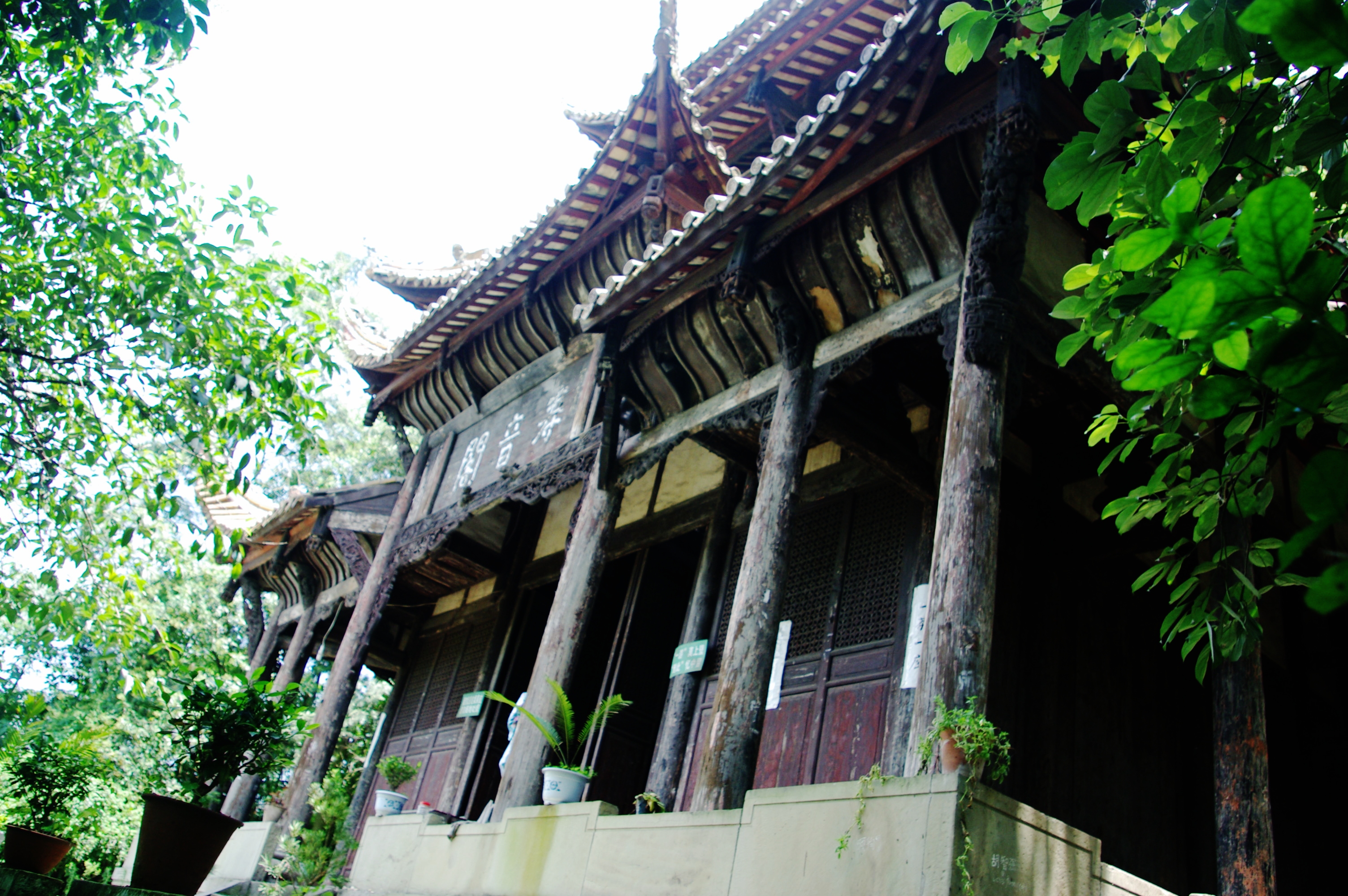 IMGP2036.JPG