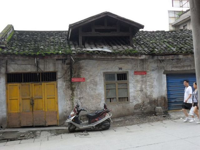SAM_0265.jpg