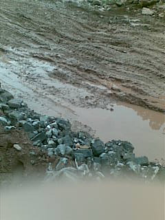 20100715(020).JPG