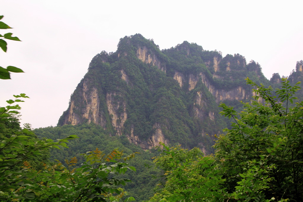 IMG_0804.jpg