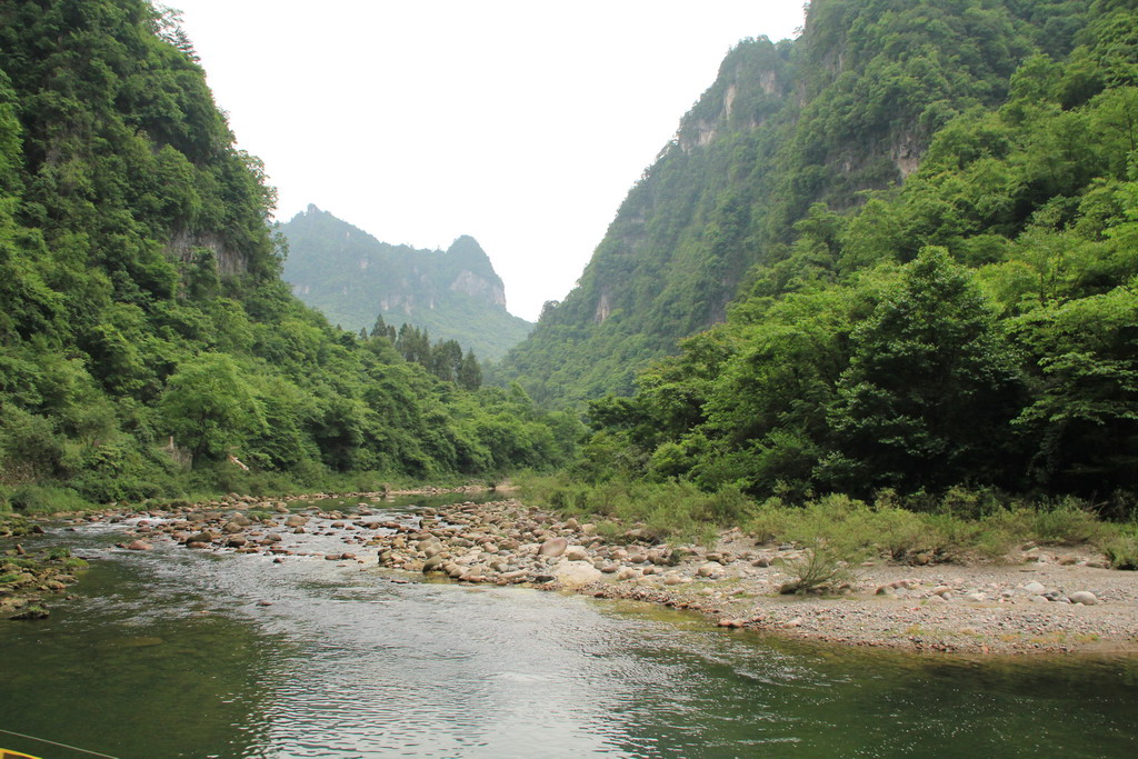 IMG_0829.jpg