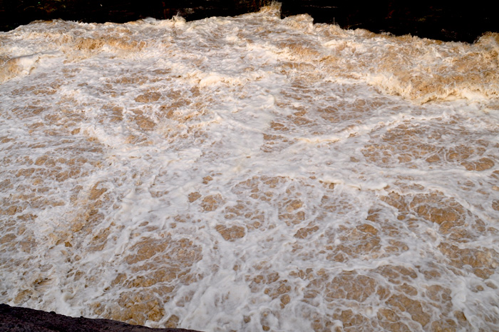 DSC_0563.jpg