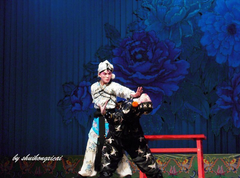 DSCN0938.jpg