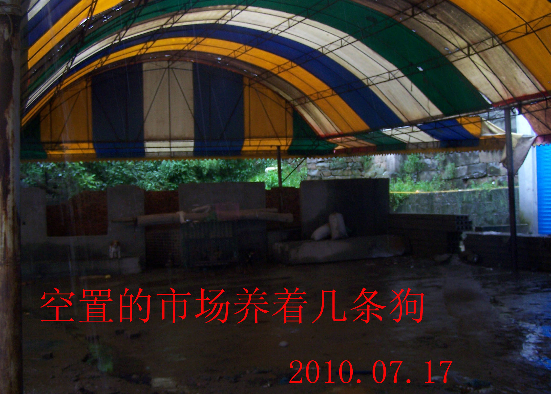 2010.7.17 009.jpg