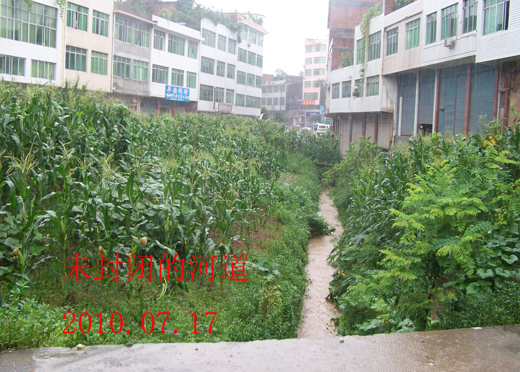 2010.7.17 019.jpg