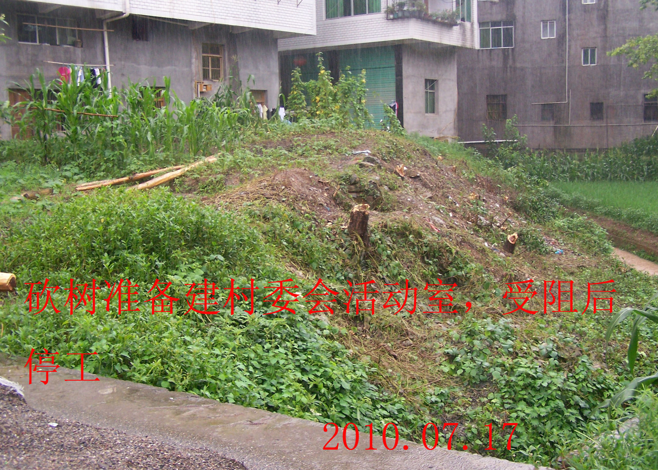 2010.7.17 017.jpg