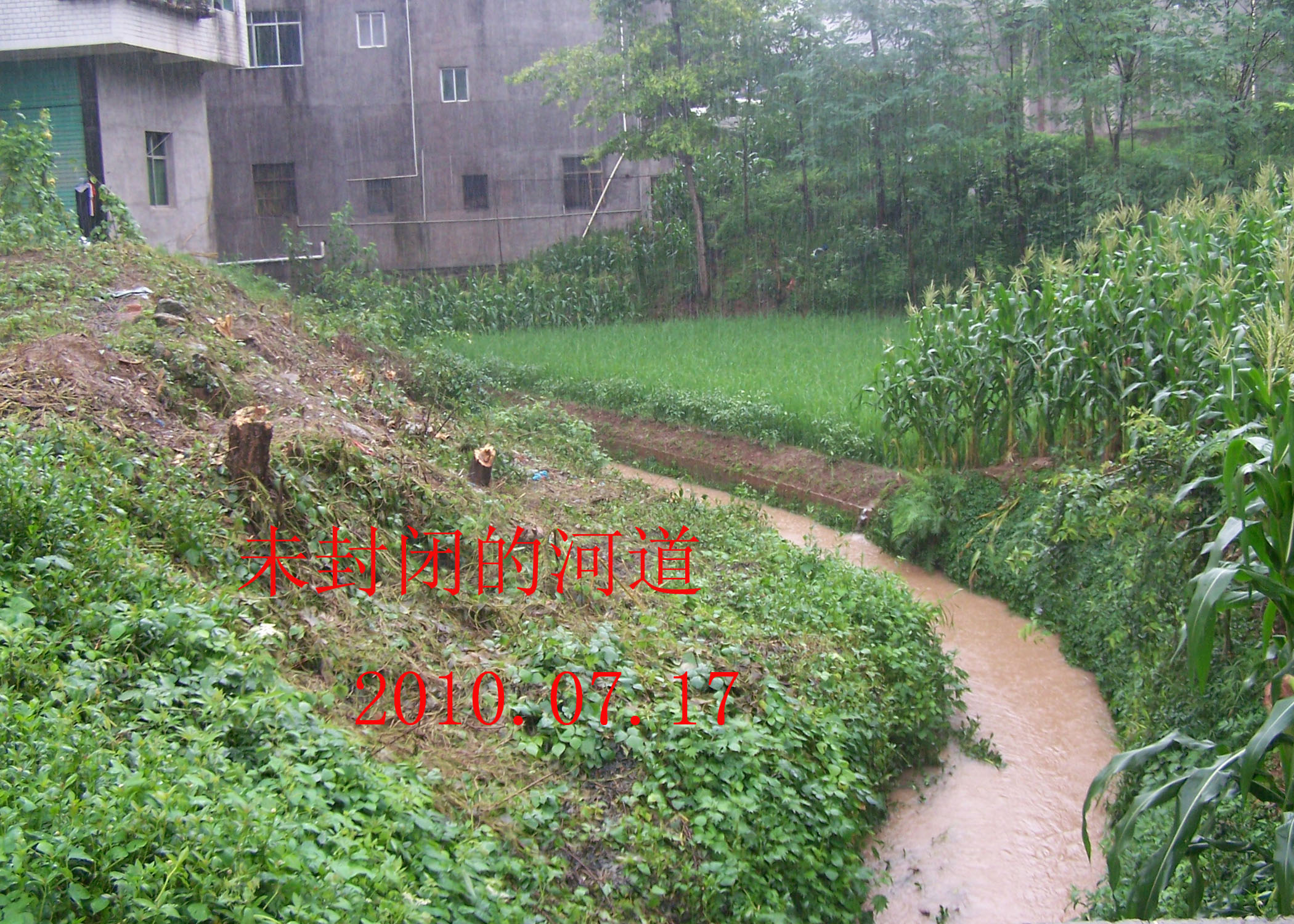2010.7.17 020.jpg