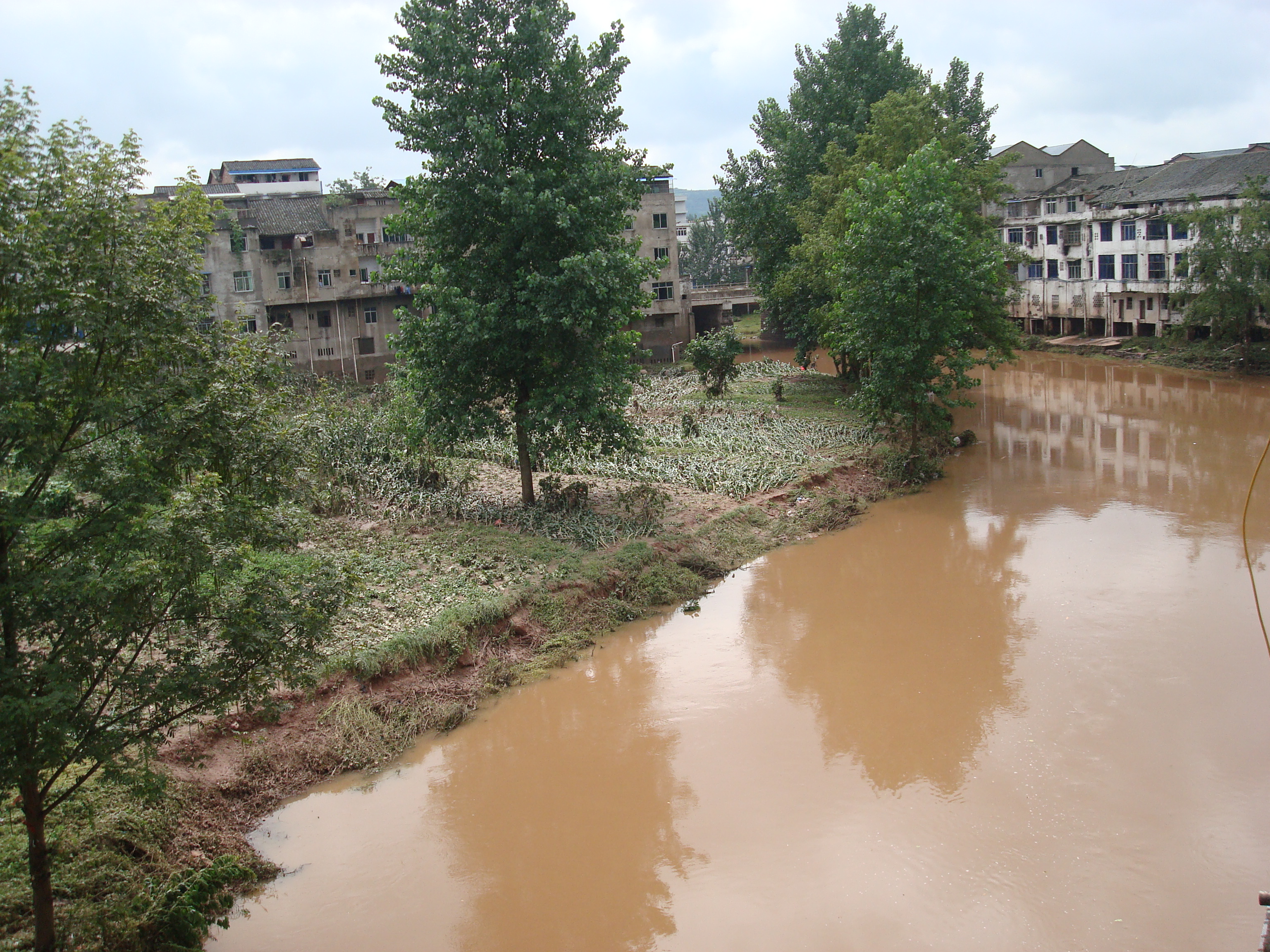 DSC06856.JPG