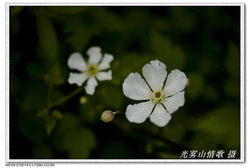 nEO_IMG_ԭе073.jpg