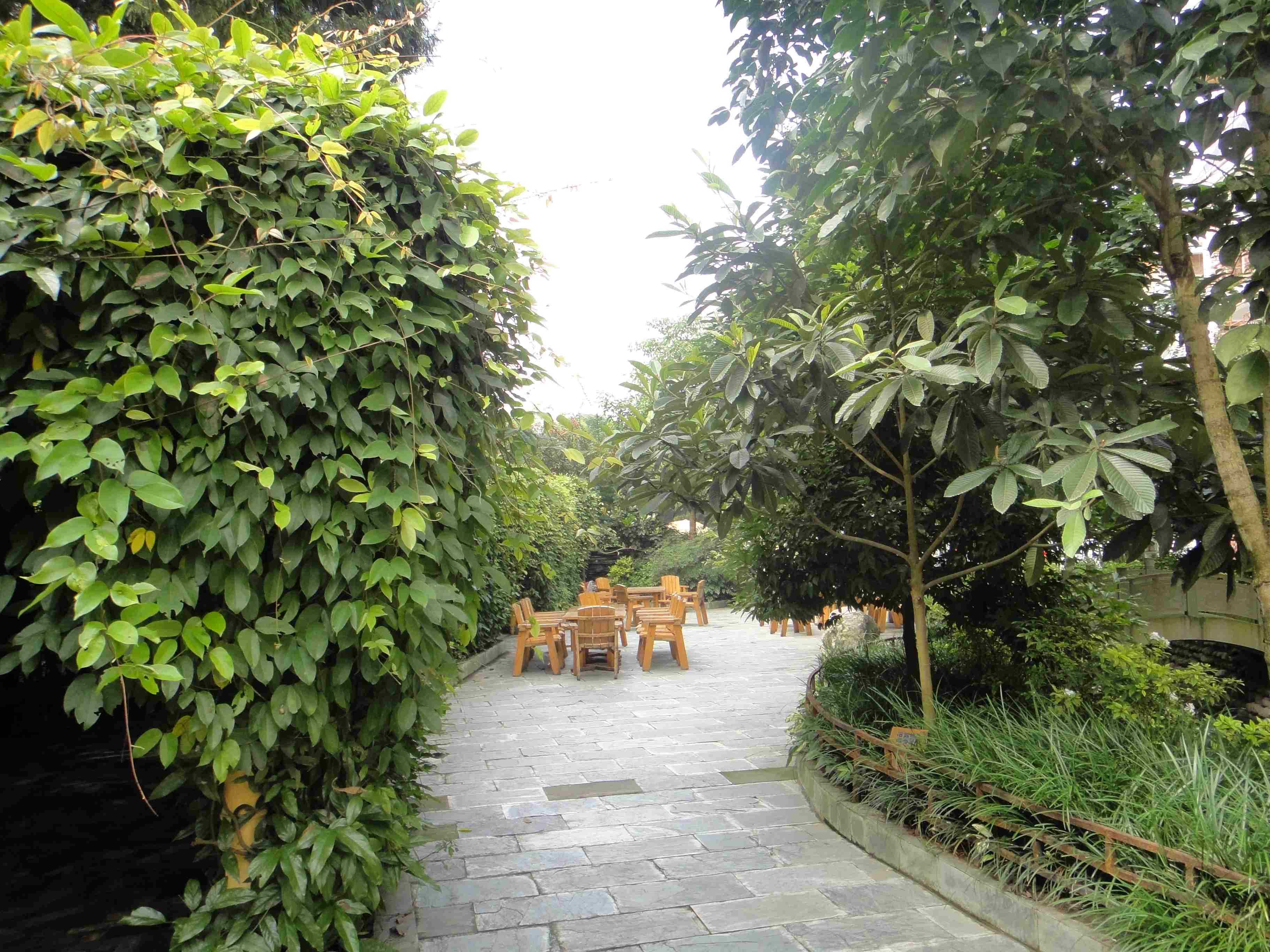 DSC00555.JPG