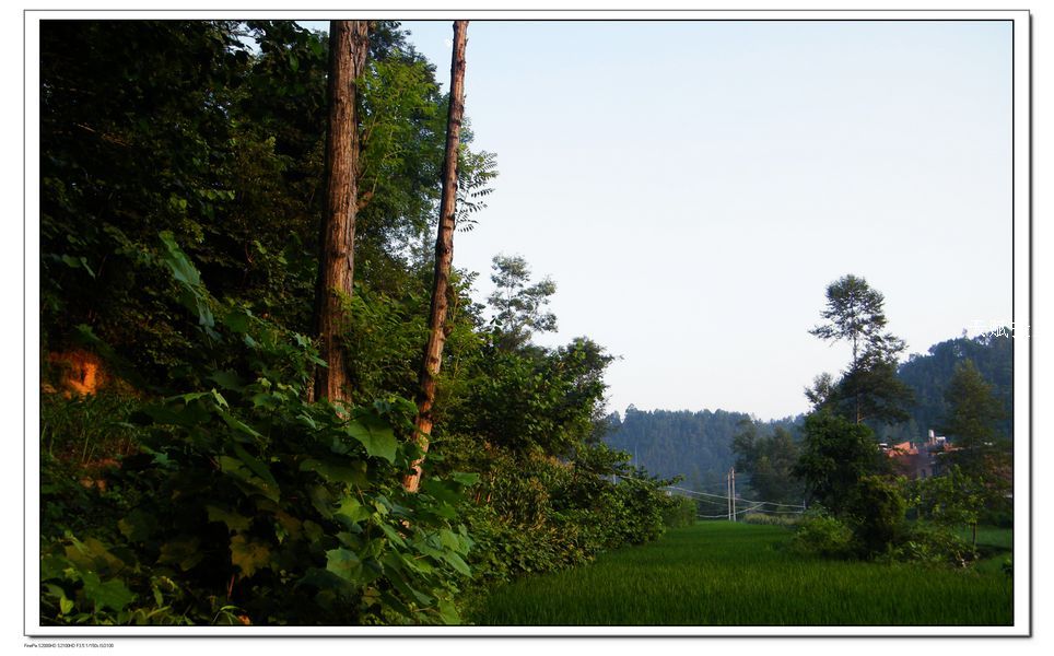 DSCF4305.jpg