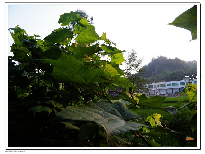 DSCF4307.jpg