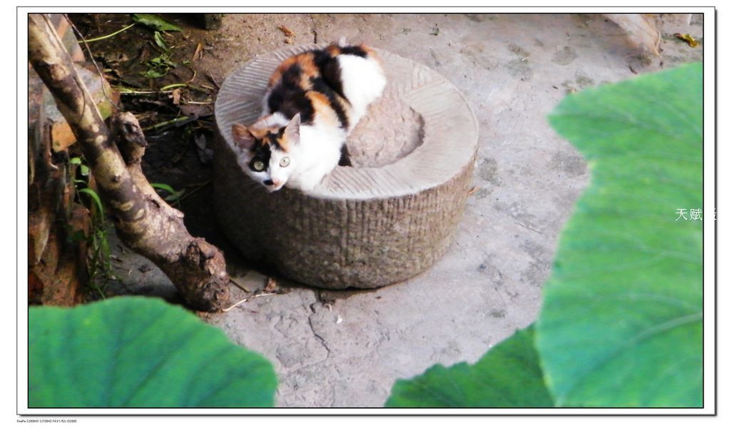 DSCF4319.jpg