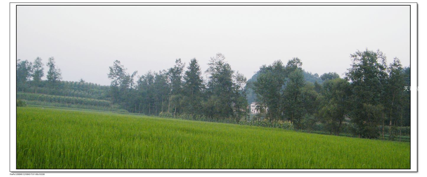 DSCF4363.jpg