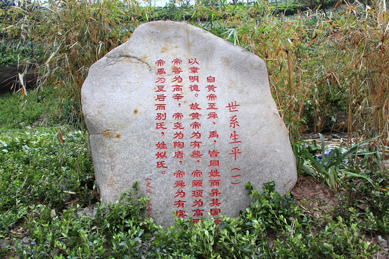 02.JPG