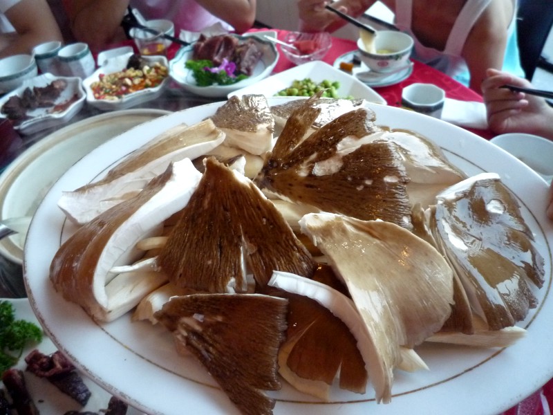 P1150467.JPG