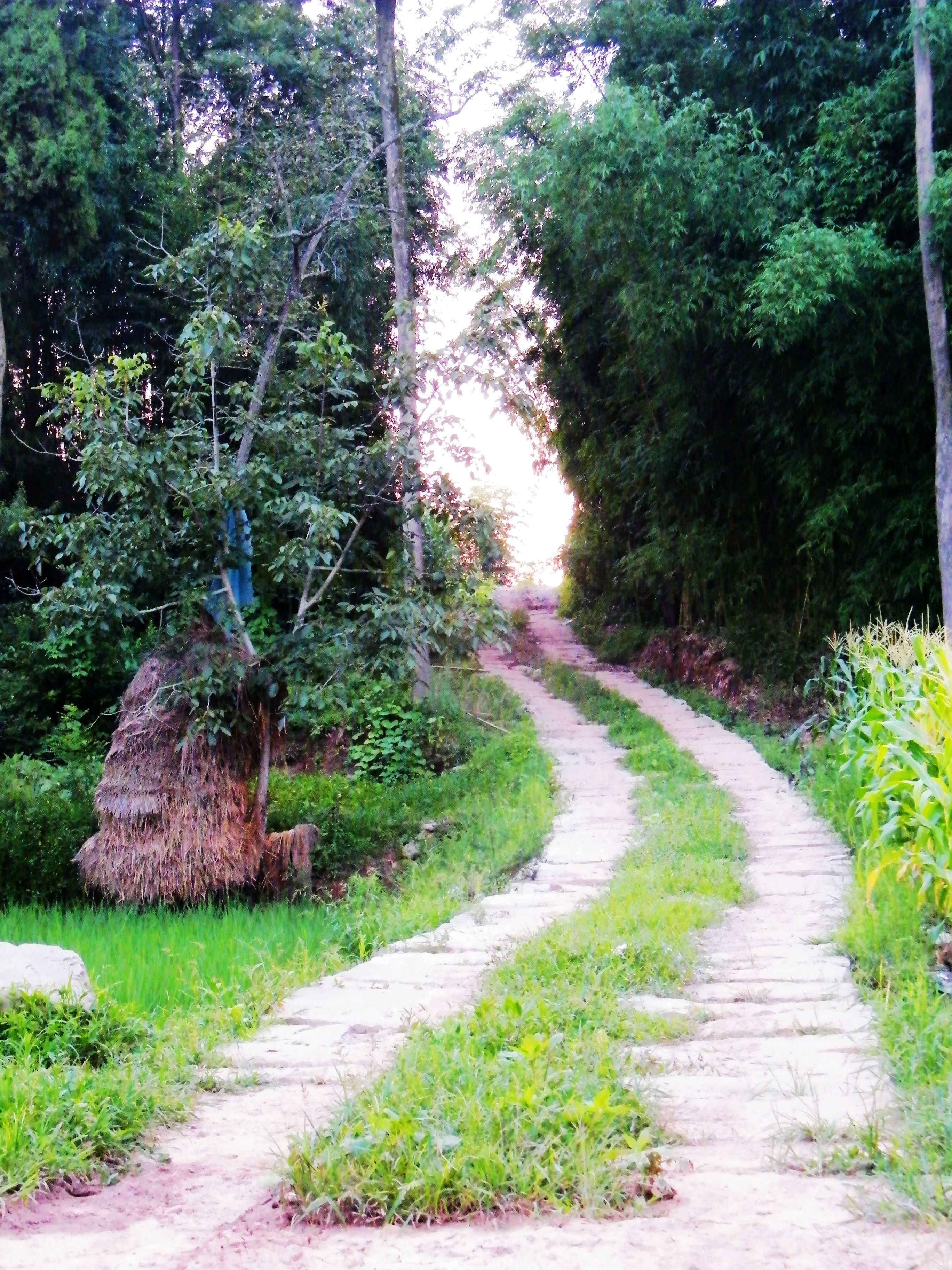 DSCF4458.jpg