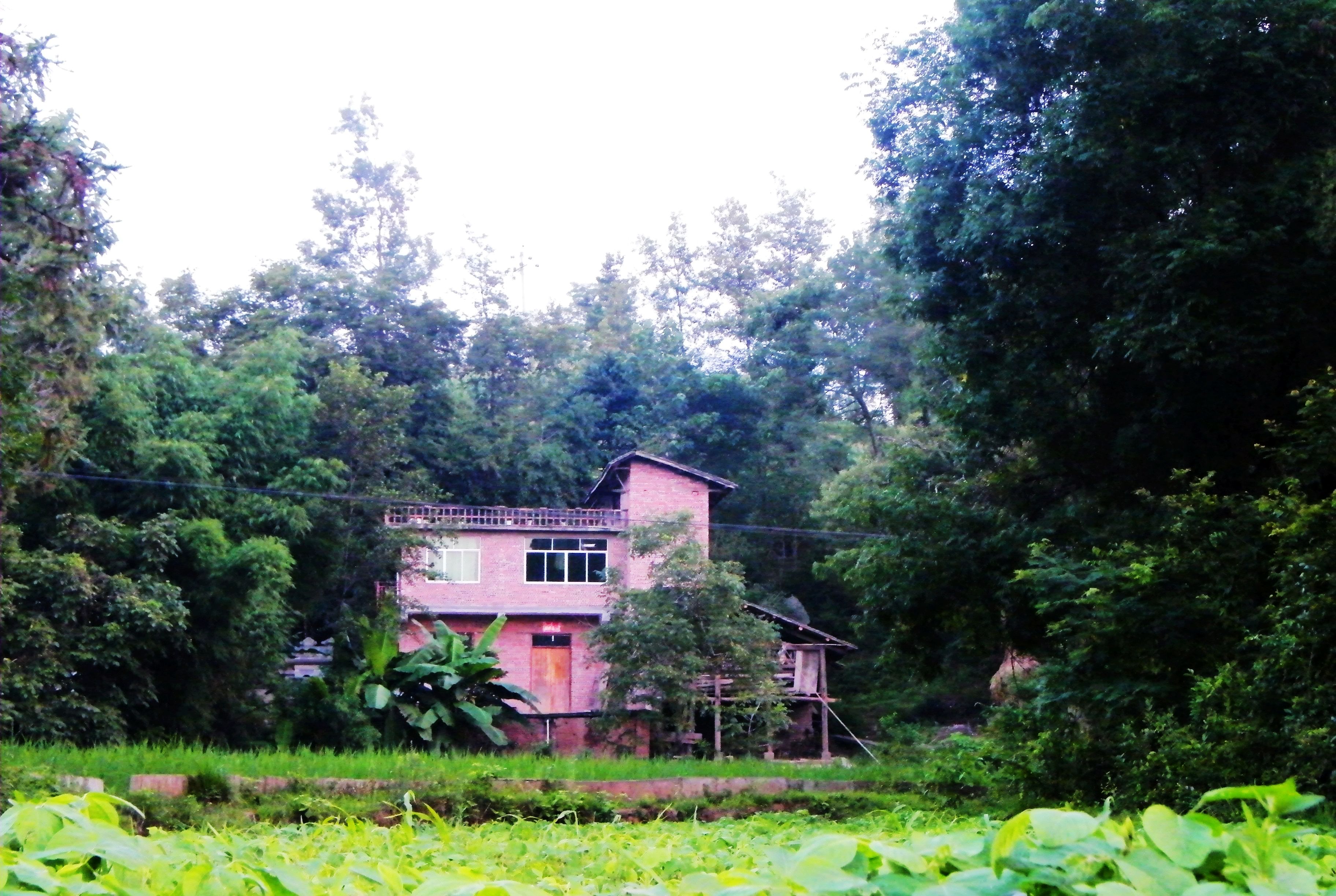 DSCF4464.jpg